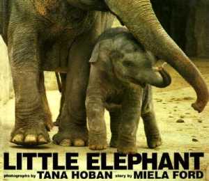 Little Elephant by Ford