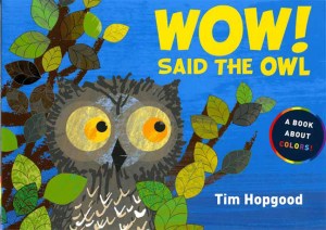 Wow Said the Owl by Hopgood