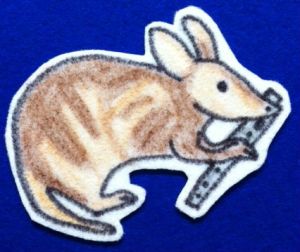 Australian A-Hunting We Will Go Flannelboard 2