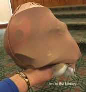 mushroom-in-the-rain-9-jeninthelibrary