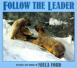 followtheleaderbyford